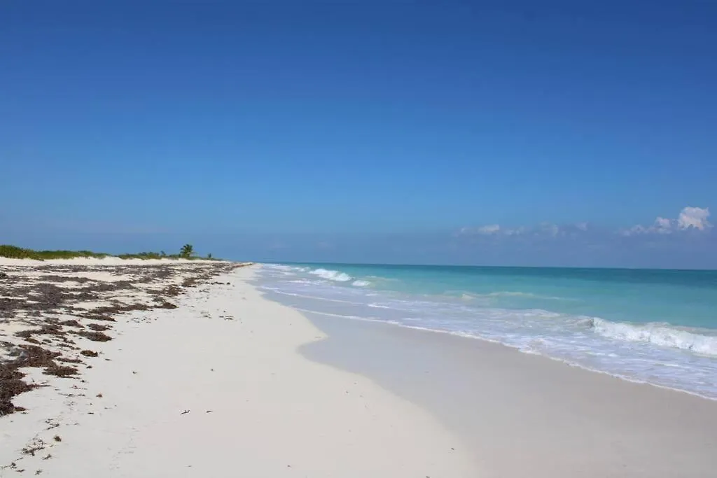 Hermosa Casa En Cancun Con Alberca Privada